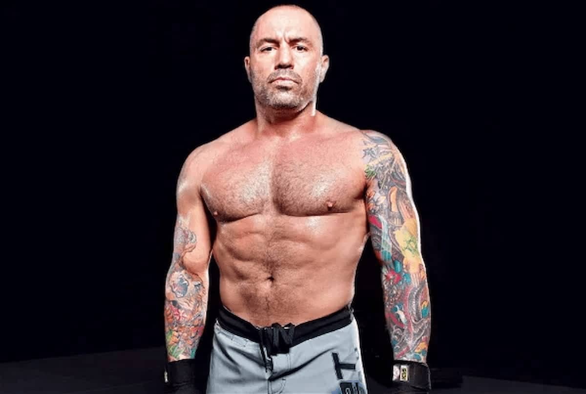 Joe Rogan MMA