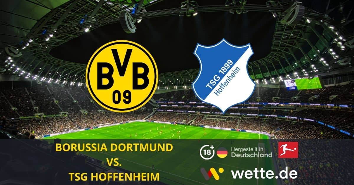 BORUSSIA DORTMUND VS. TSG HOFFENHEIM